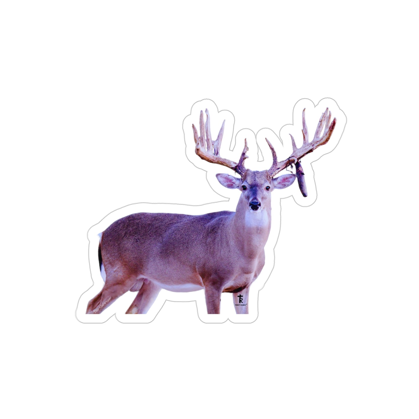 Big Drop (White-tail Deer Sticker)