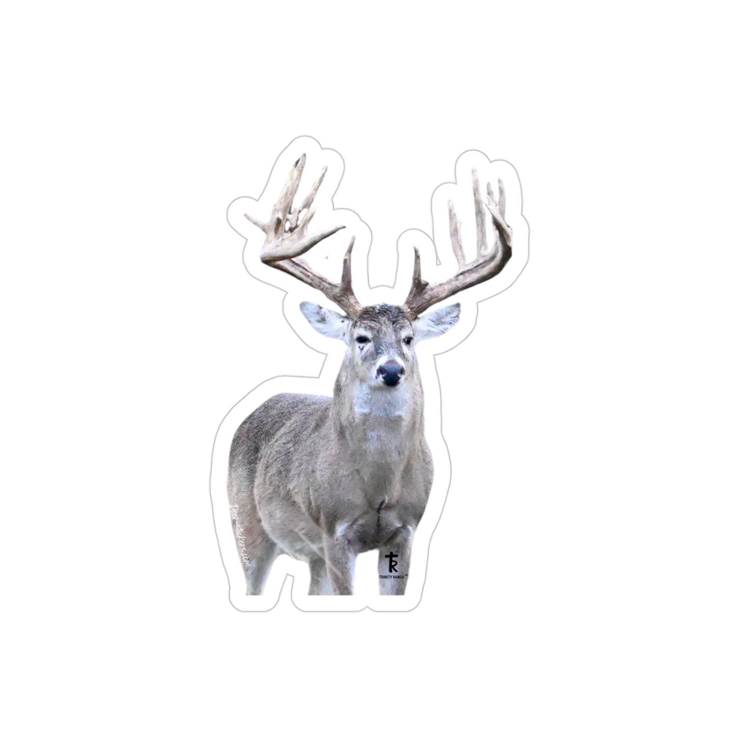 Rough Day (White-tail Deer Sticker)