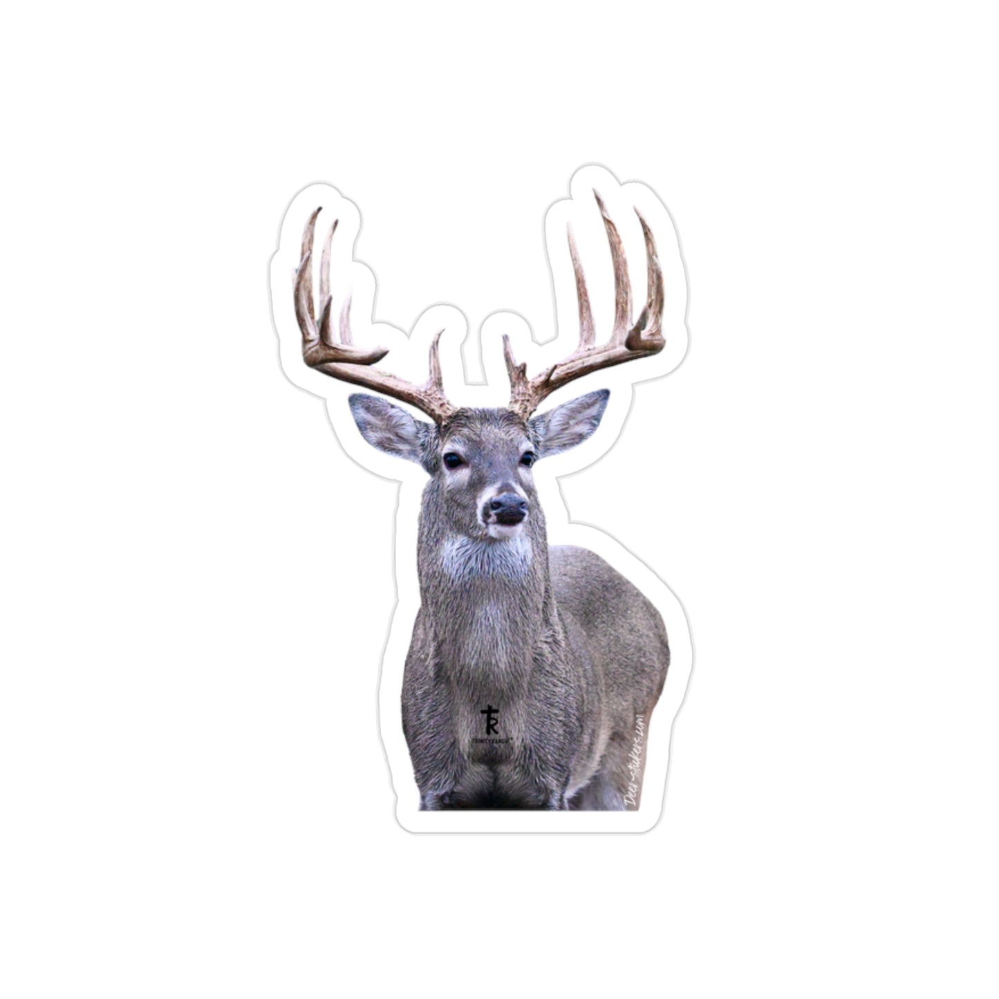 More than meets the eye (White-tail Deer Sticker)