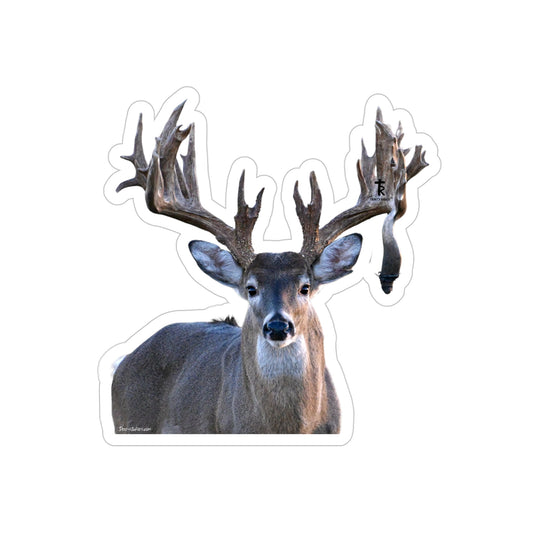 Rock On (White-tail Deer Sticker)