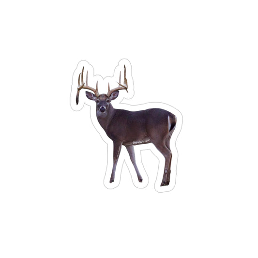 Drop Tines (White-tail Deer Stickers)