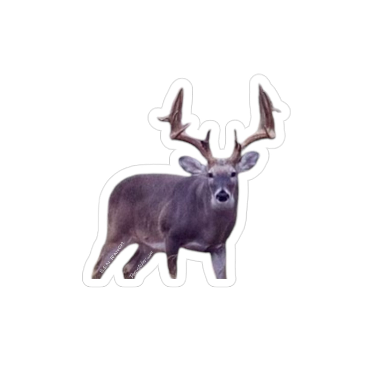 Matching Kickers (White-tail Deer Sticker)