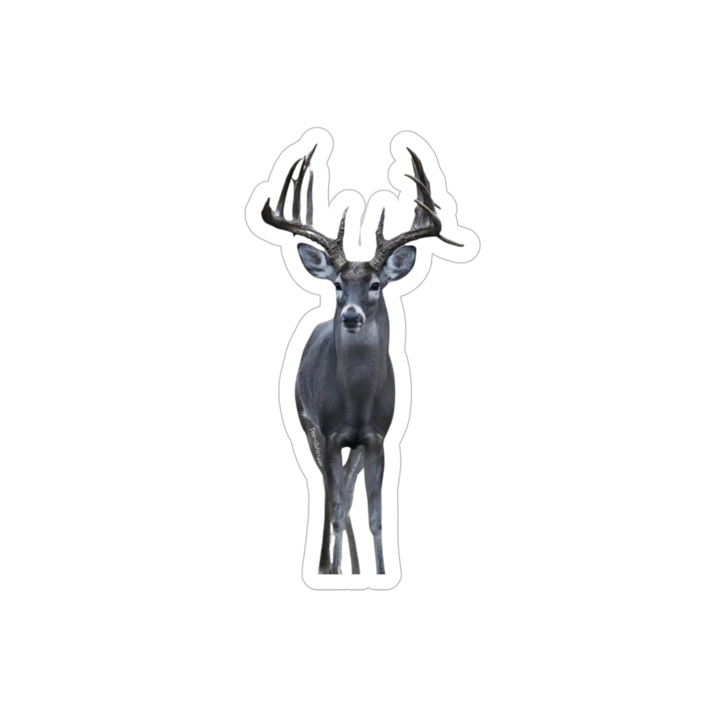 S&N Main Beam Flyer (White-tail Deer Sticker)