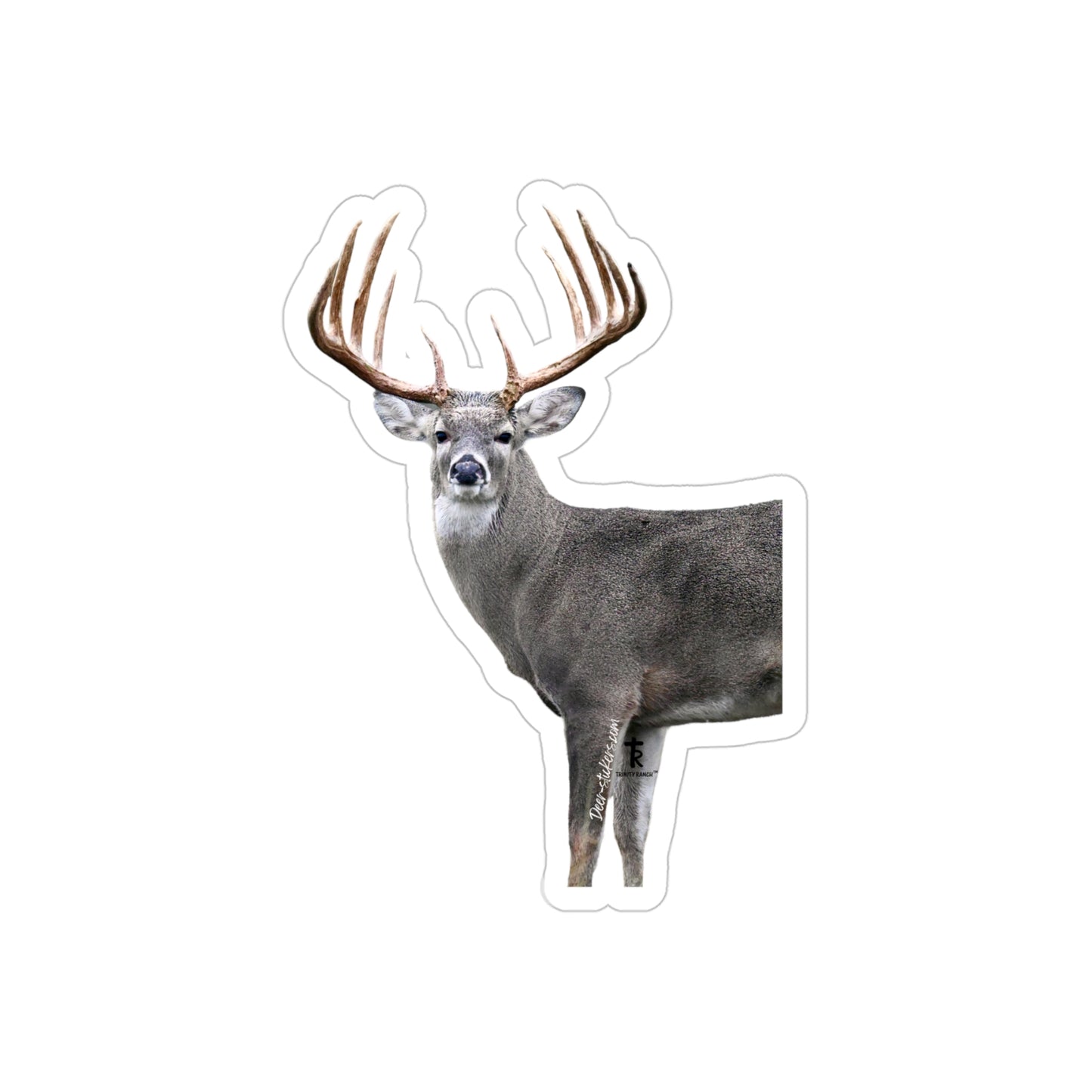 Mr. Clean (White-tail Deer Sticker)